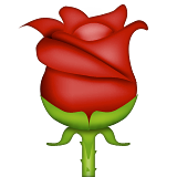 Rose Emoji (Apple/iOS Version)