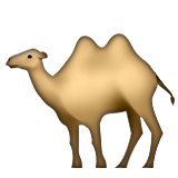 Bactrian Camel Emoji (Apple/iOS Version)