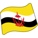 Flag For Brunei Emoji Icon