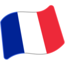 Flag For France Emoji Icon