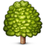 Deciduous Tree Emoji (Apple/iOS Version)