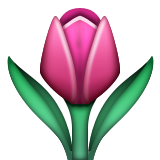 Tulip Emoji (Apple/iOS Version)