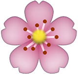 Cherry Blossom Emoji (Apple/iOS Version)