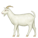 Goat Emoji (Apple/iOS Version)