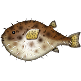 Blowfish Emoji (Apple/iOS Version)
