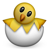 Hatching Chick Emoji (Apple/iOS Version)