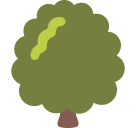 Deciduous Tree Emoji Icon