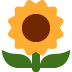 Sunflower Emoji (Twitter Version)