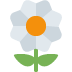 Blossom Emoji (Twitter Version)