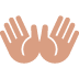Open Hands Sign Emoji (Twitter Version)