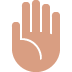 Raised Hand Emoji (Twitter Version)